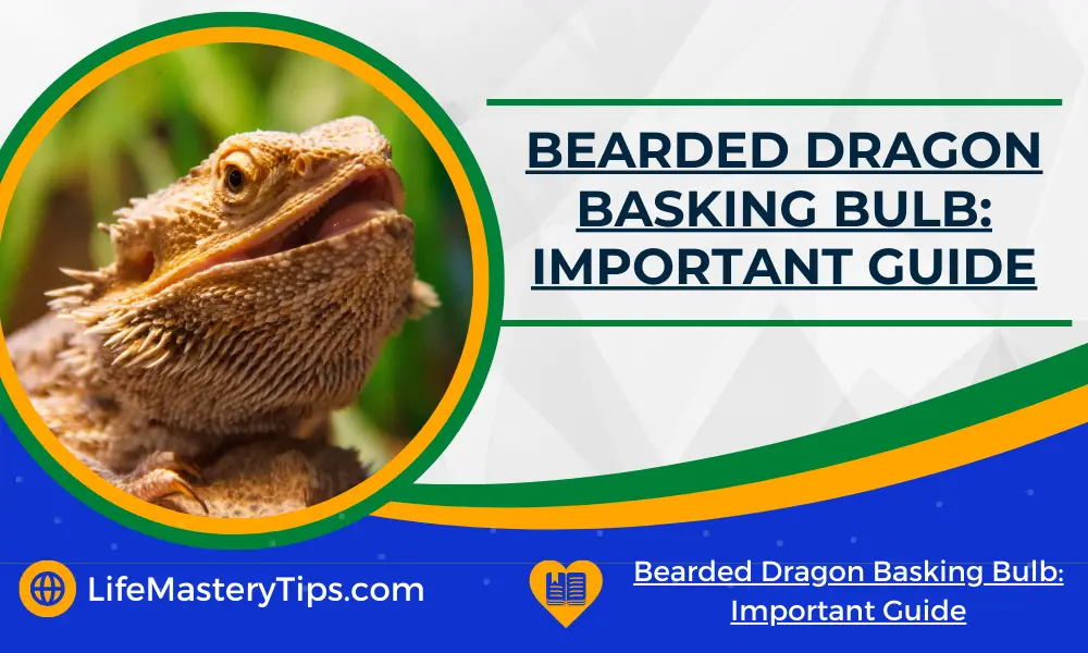 Bearded Dragon Basking Bulb_ Important Guide