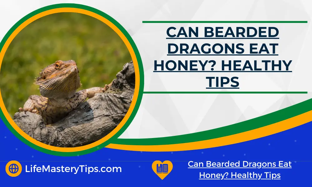 Can Bearded Dragons Eat Honey_ Healthy Tips