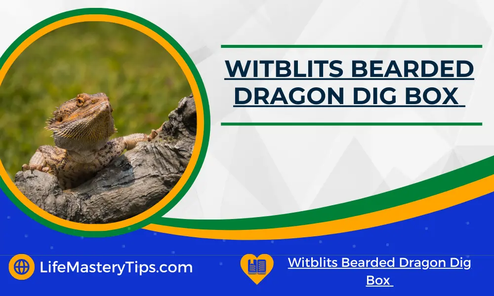 Witblits Bearded Dragon Dig Box