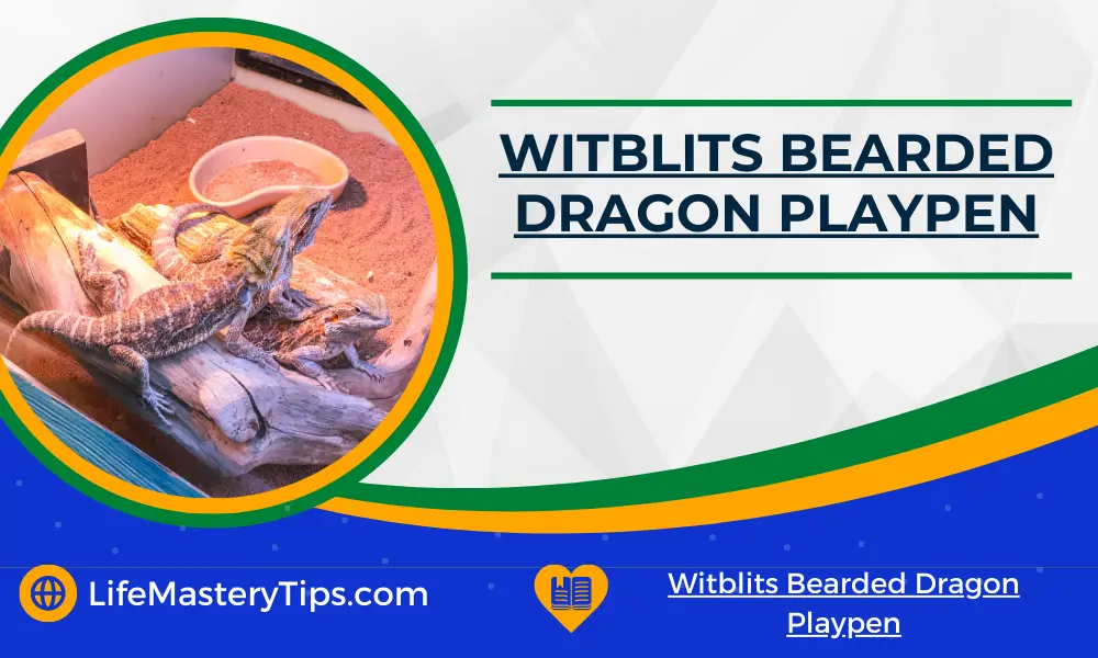 Witblits Bearded Dragon Playpen