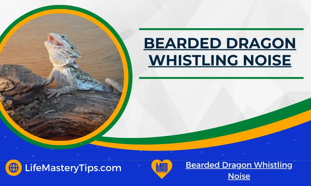 Bearded Dragon Whistling Noise