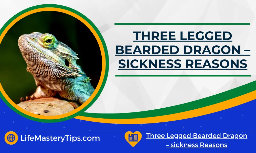 Three Legged Bearded Dragon – sickness Reasons
