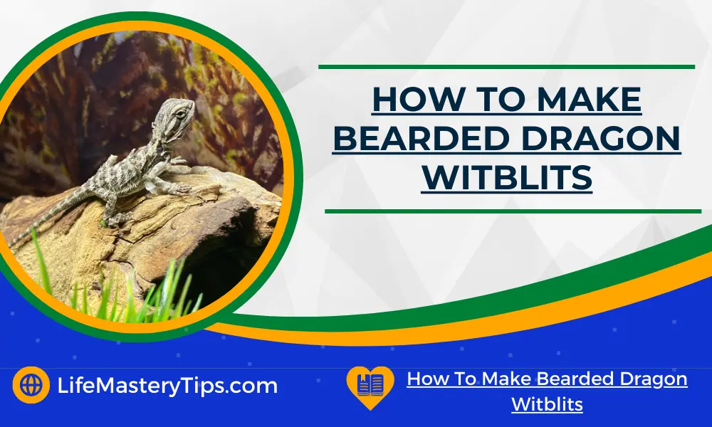 How To Make Bearded Dragon Witblits