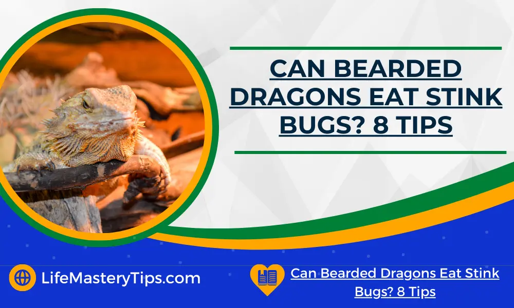 Can Bearded Dragons Eat Stink Bugs_ 8 Tips