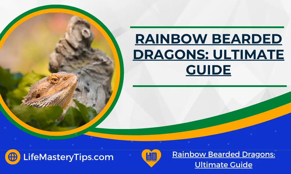 Rainbow Bearded Dragons_ Ultimate Guide
