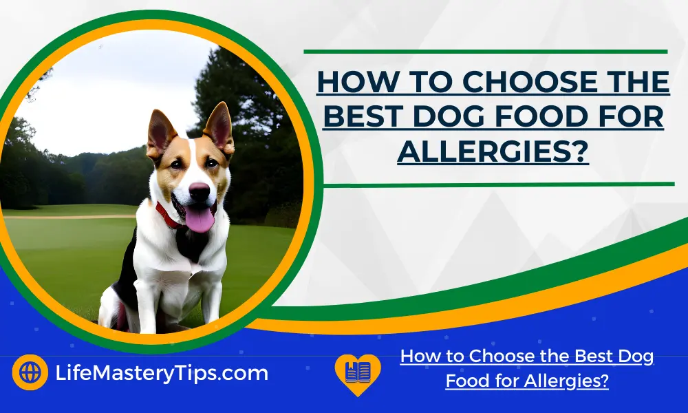 How to Choose the Best Dog Food for Allergies