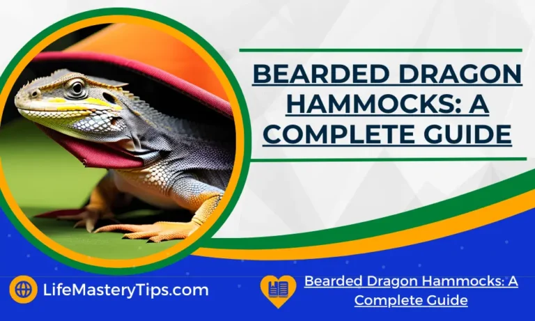 Bearded Dragon Hammocks_ A Complete Guide