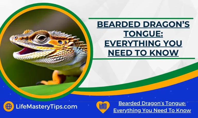 Bearded Dragon’s Tongue_ Everything You Need To Know