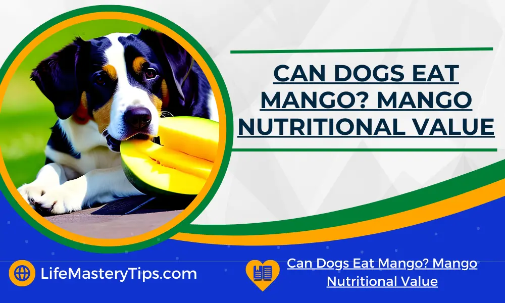 Can Dogs Eat Mango_ Mango Nutritional Value