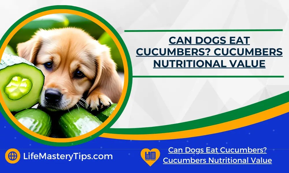 Can Dogs Eat Cucumbers_ Cucumbers Nutritional Value