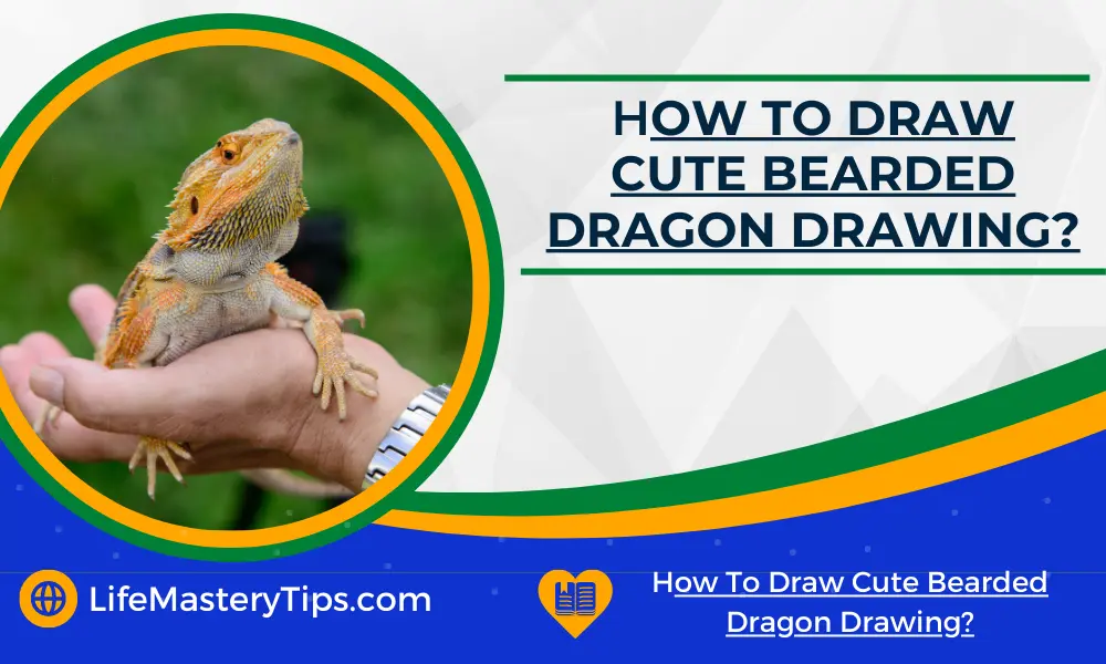 How To Draw Cute Bearded Dragon Drawing