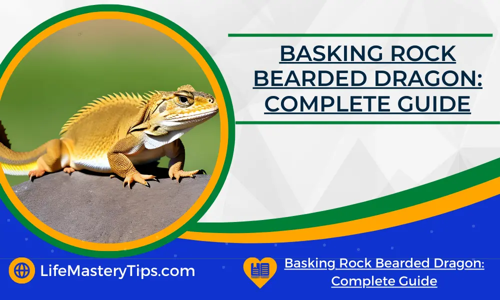 Basking Rock Bearded Dragon_ Complete Guide