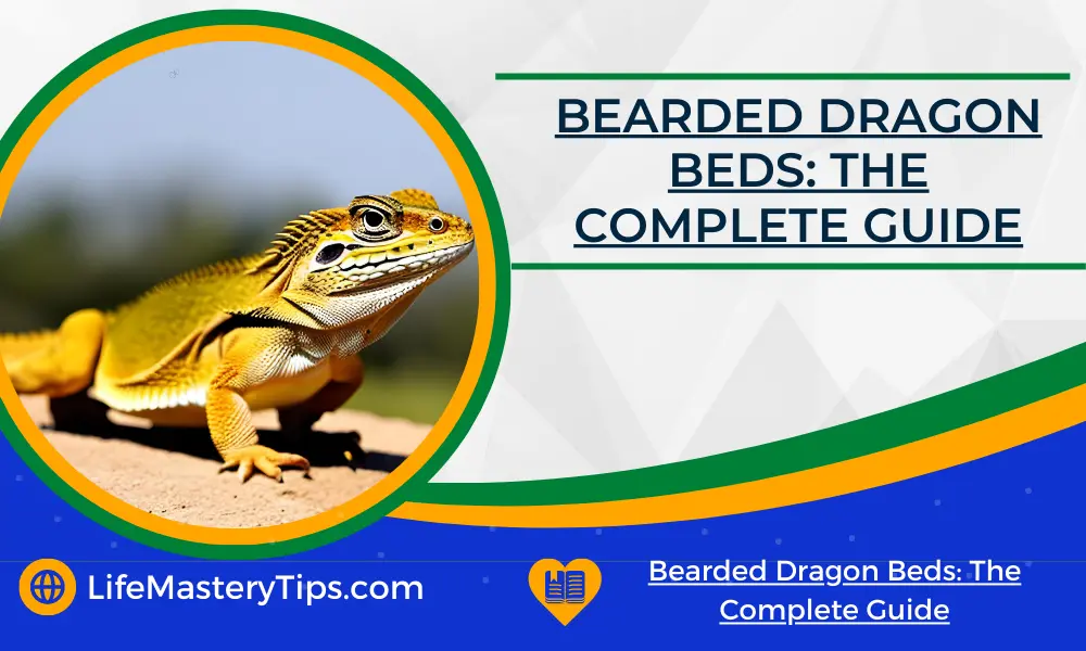 Bearded Dragon Beds_ The Complete Guide