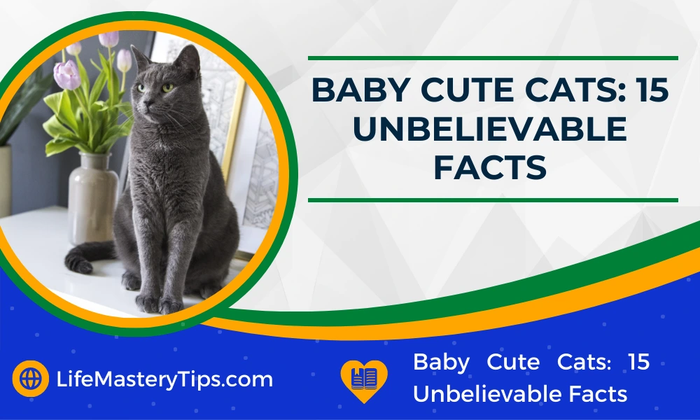 Baby Cute Cats_ 15 Unbelievable Facts