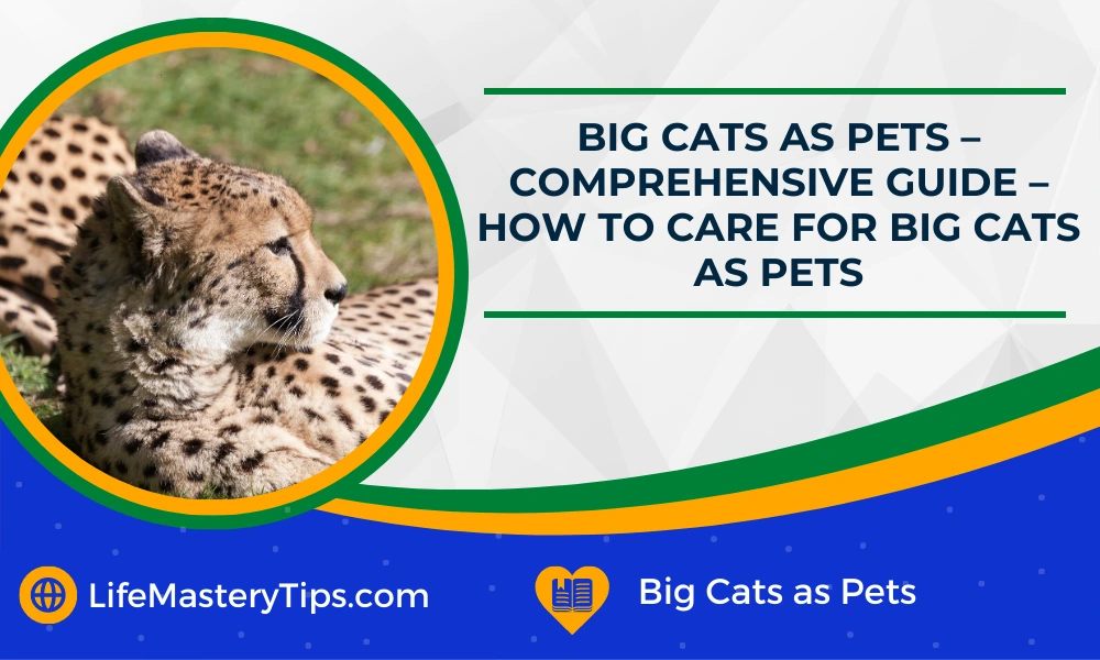 Big Cats as Pets – Comprehensive Guide – How To Care For Big Cats As Pets