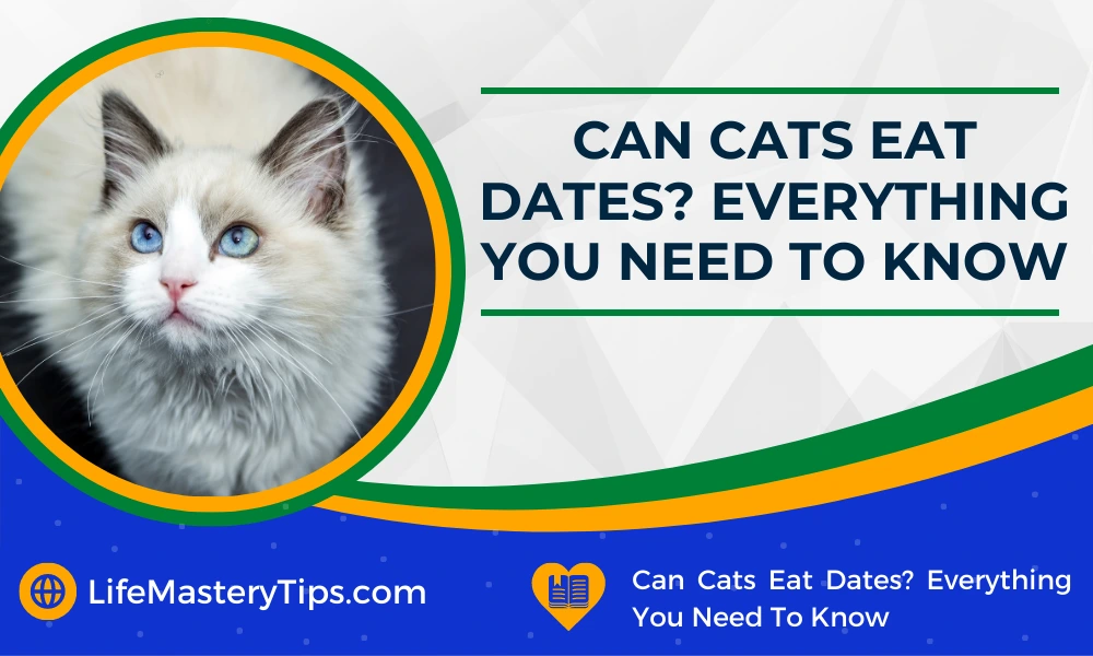 Can Cats Eat Dates_ Everything You Need To Know