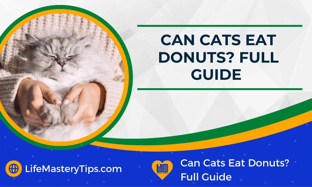 Can Cats Eat Donuts_ Full Guide