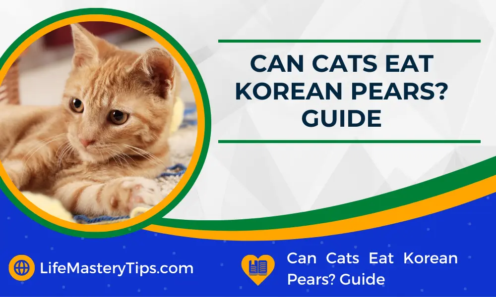 Can Cats Eat Korean Pears Guide