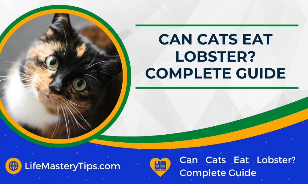 Can Cats Eat Lobster_ Complete Guide