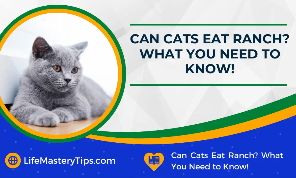 Can Cats Eat Ranch What You Need to Know!