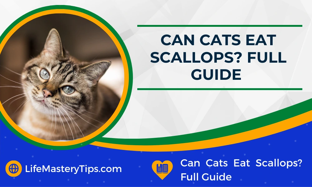 Can Cats Eat Scallops_ Full Guide