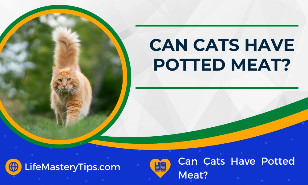 Can Cats Have Potted Meat
