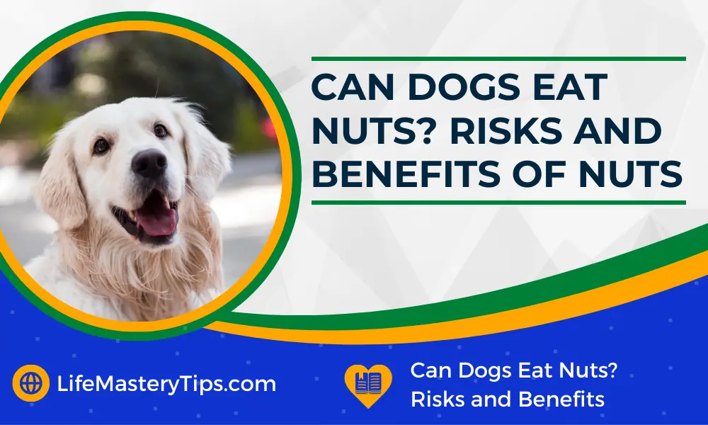 Can Dogs Eat Nuts Risks And Benefits Of Nuts