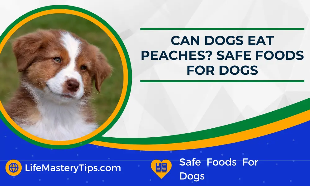 Can Dogs Eat Peaches Safe Foods For Dogs