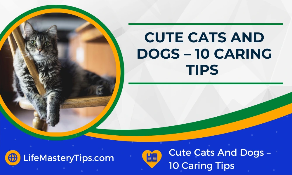 Cute Cats And Dogs – 10 Caring Tips