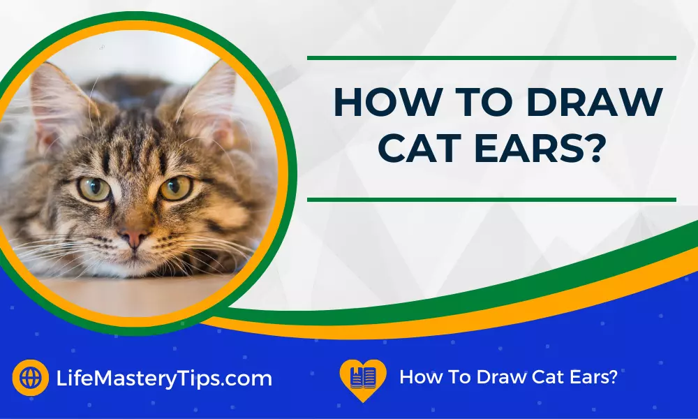 How To Draw Cat Ears