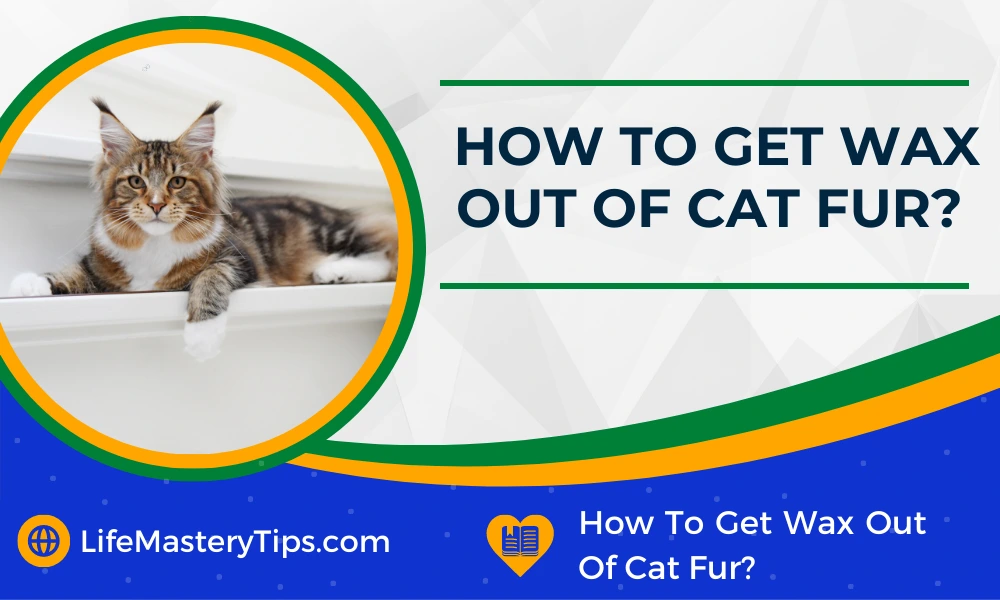 How To Get Wax Out Of Cat Fur