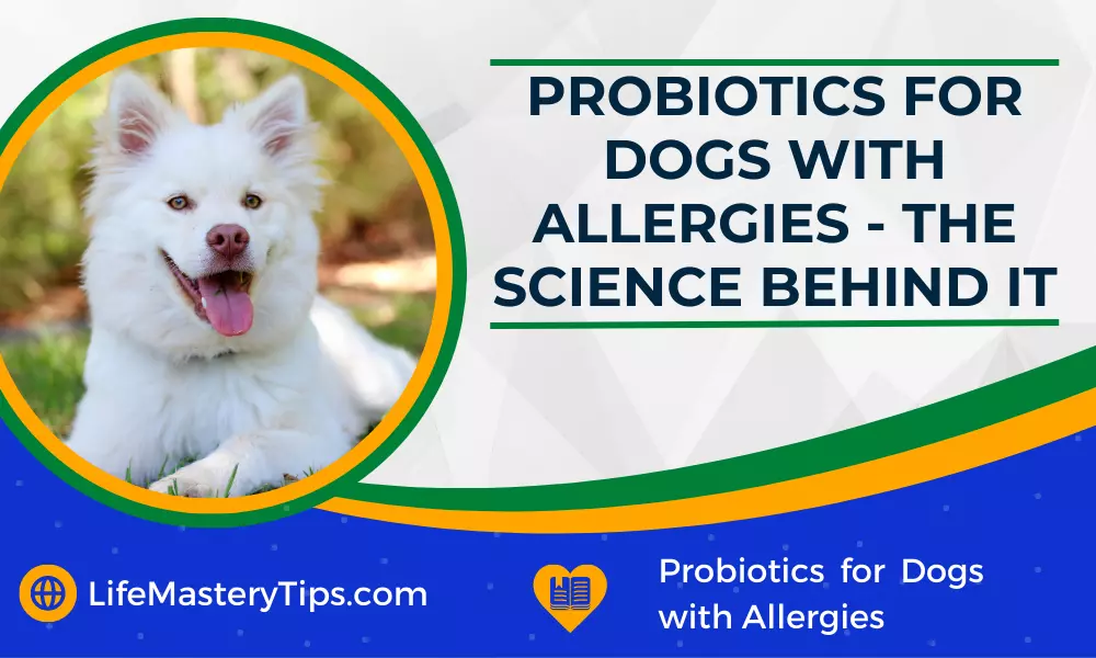 Probiotics for Dogs with Allergies