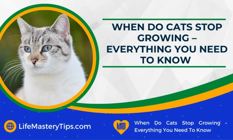 When Do Cats Stop Growing – Everything You Need To Know