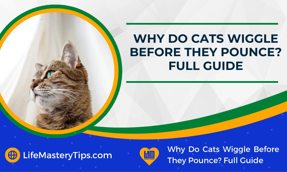 Why Do Cats Wiggle Before They Pounce_ Full Guide