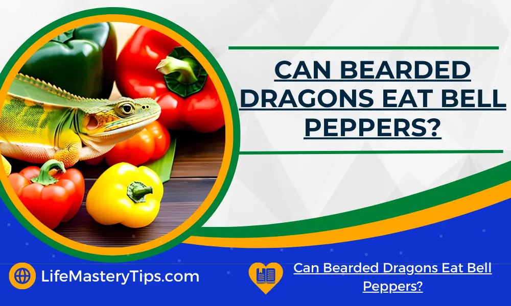 Can Bearded Dragons Eat Bell Peppers
