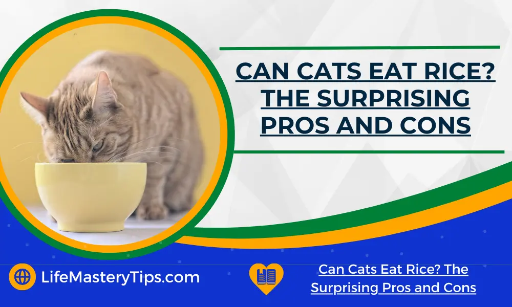Can Cats Eat Rice - The Surprising Pros and Cons