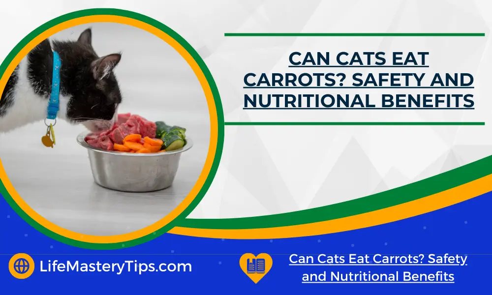 Can Cats Eat Carrots_ Safety and Nutritional Benefits