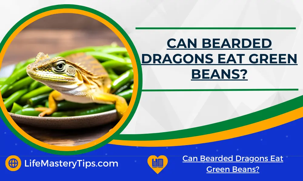 Can Bearded Dragons Eat Green Beans