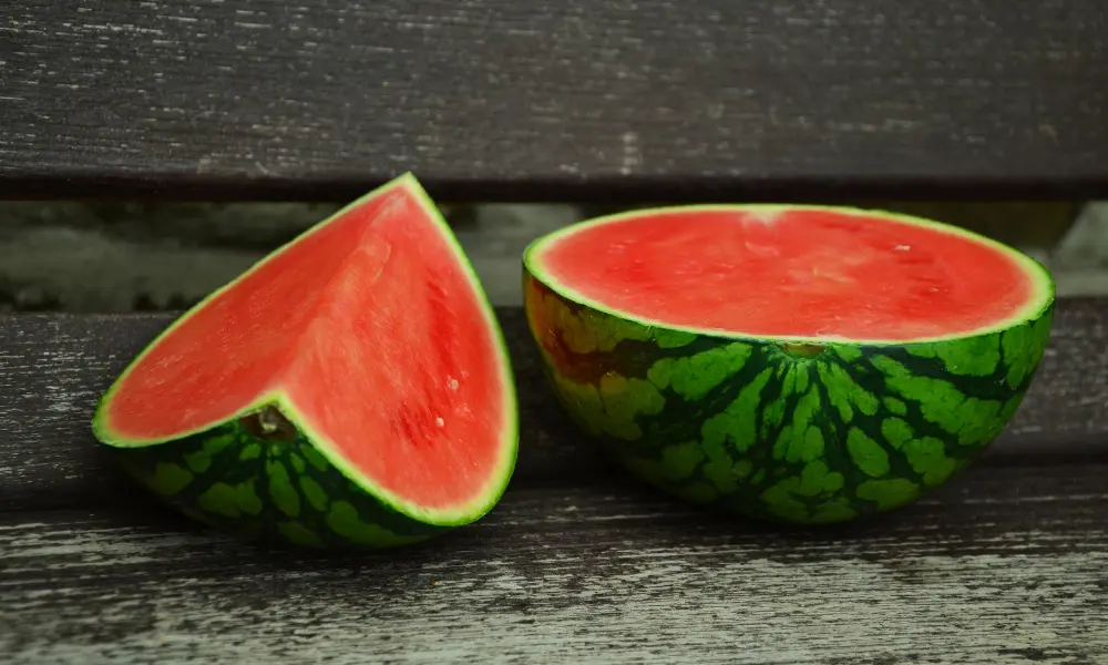 Should Bearded Dragons Eat Watermelon