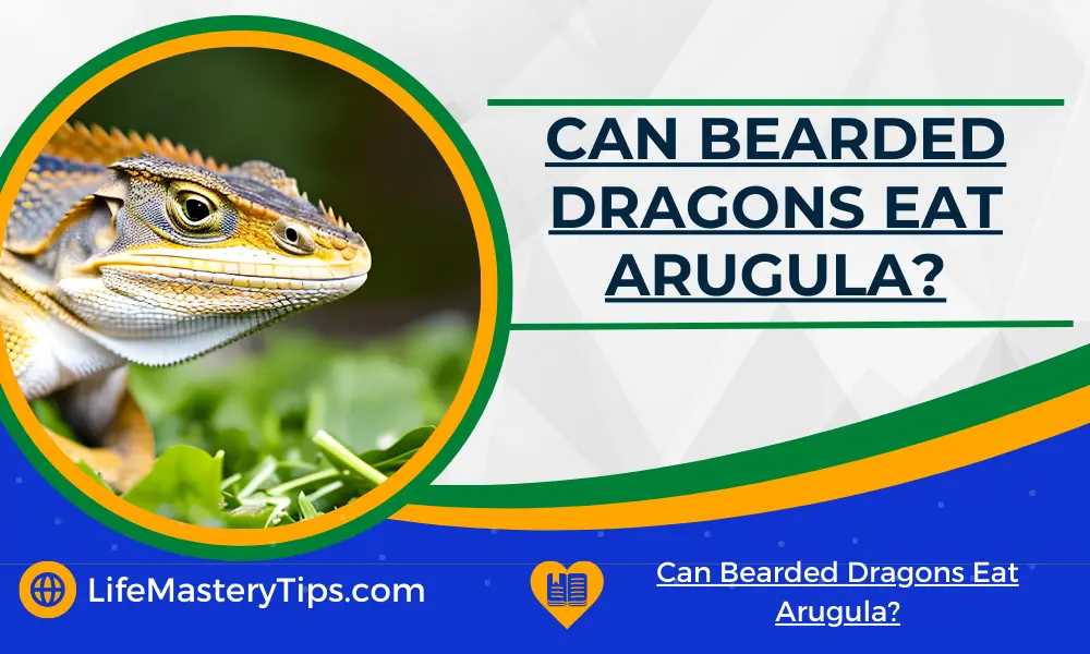 Can Bearded Dragons Eat Arugula