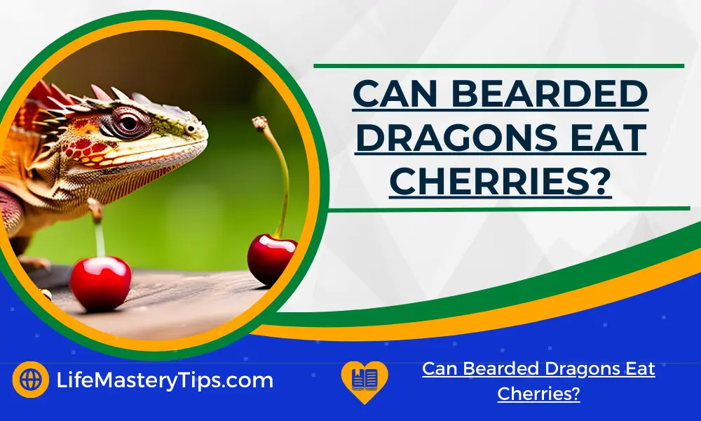 Can Bearded Dragons Eat Cherries