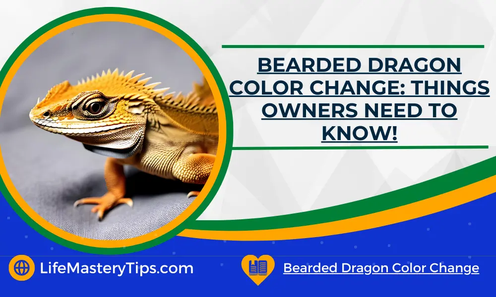 Bearded Dragon Color Change_ Things Owners Need to Know!