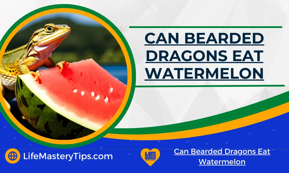 Can Bearded Dragons Eat Watermelon