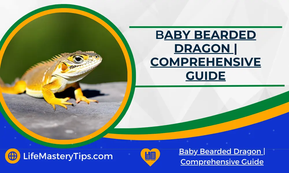Baby Bearded Dragon _ Comprehensive Guide