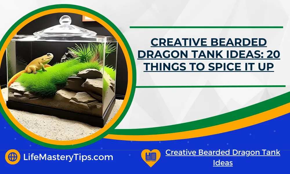 Creative Bearded Dragon Tank Ideas