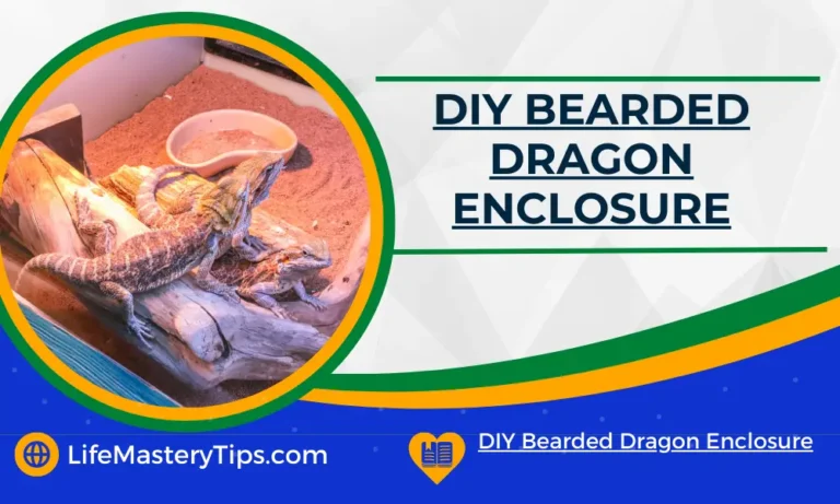 DIY Bearded Dragon Enclosure