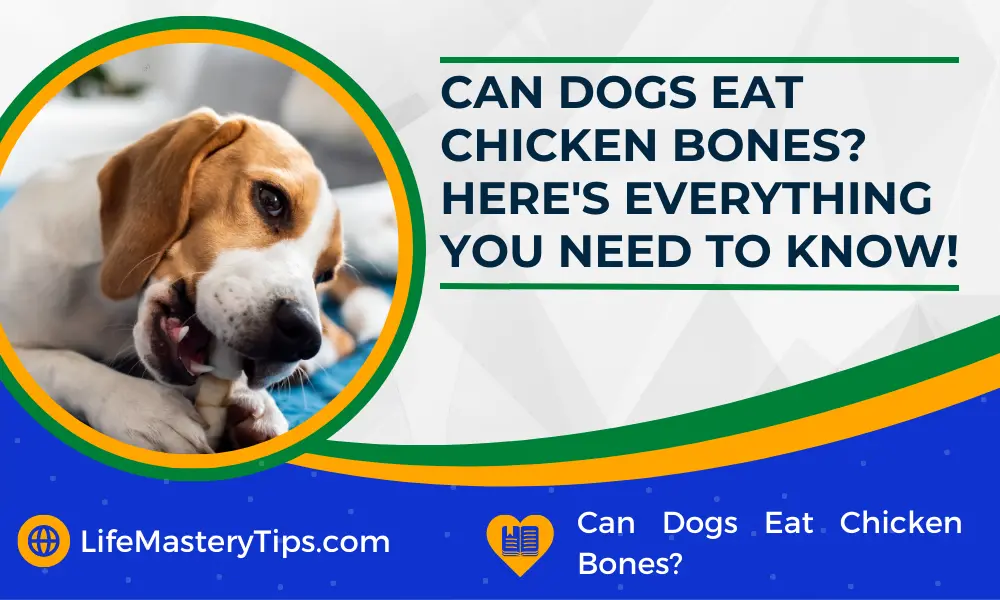 Can Dogs Eat Chicken Bones Here's Everything You Need To Know!