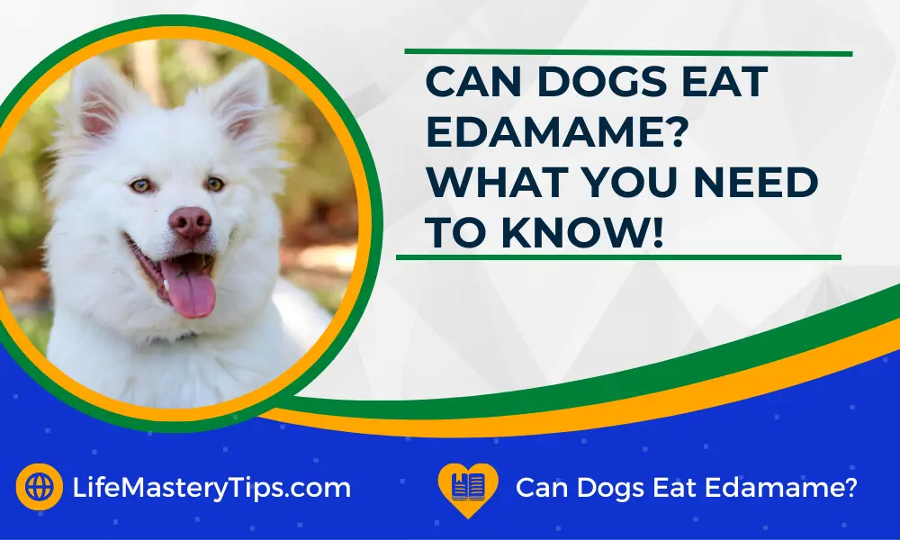 Can Dogs Eat Edamame What You Need To Know!