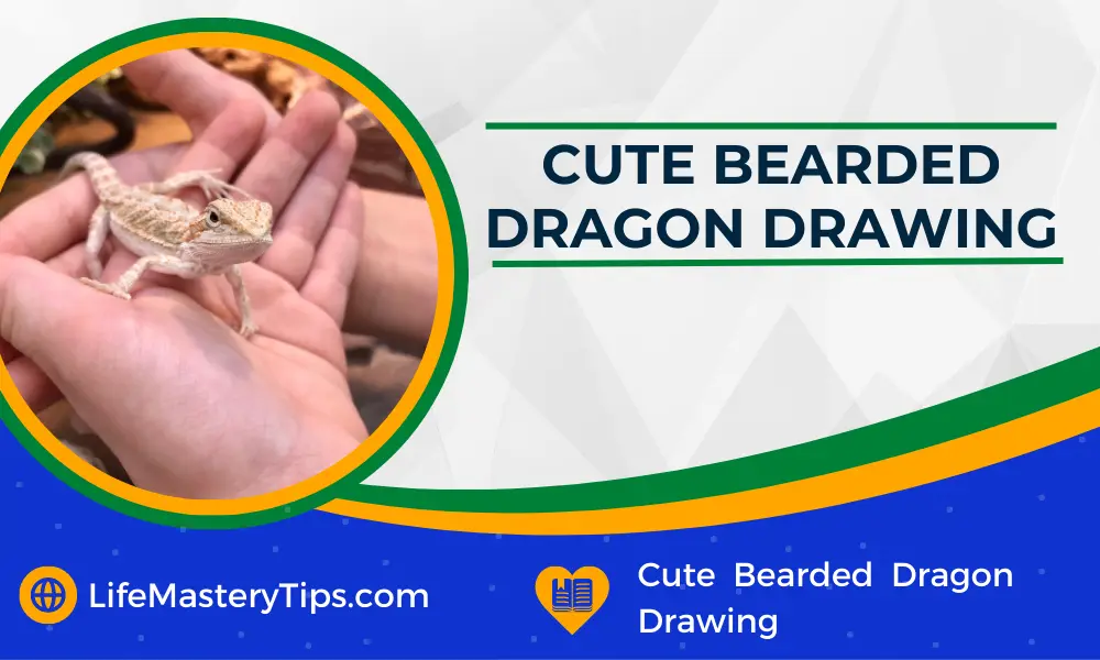 Cute Bearded Dragon Drawing