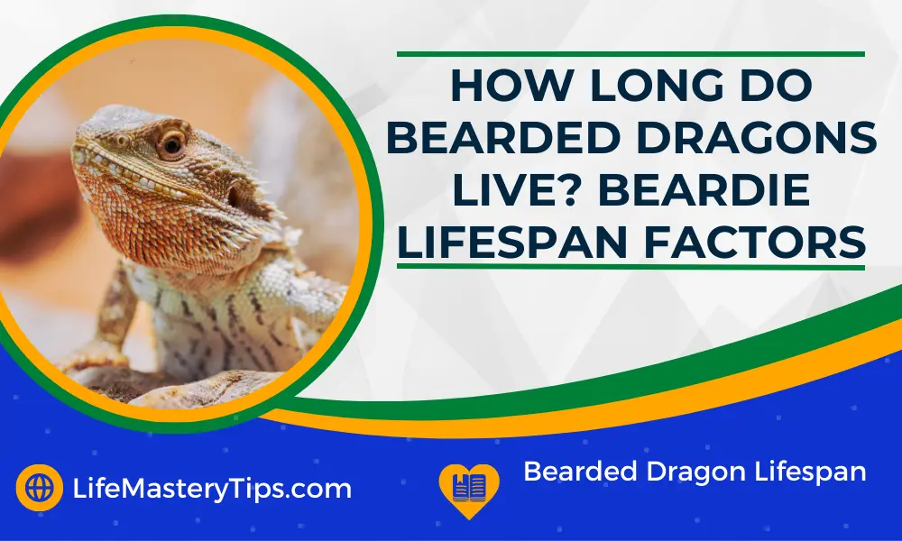 How Long Do Bearded Dragons Live Beardie Lifespan Factors